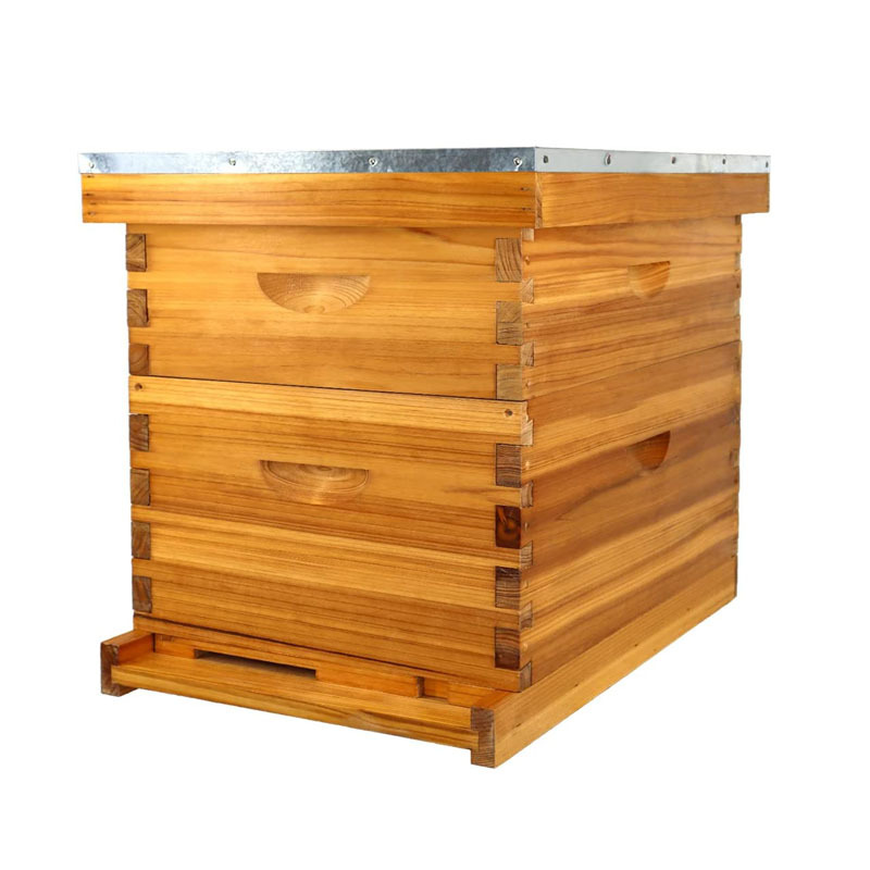 Beekeeping Hives