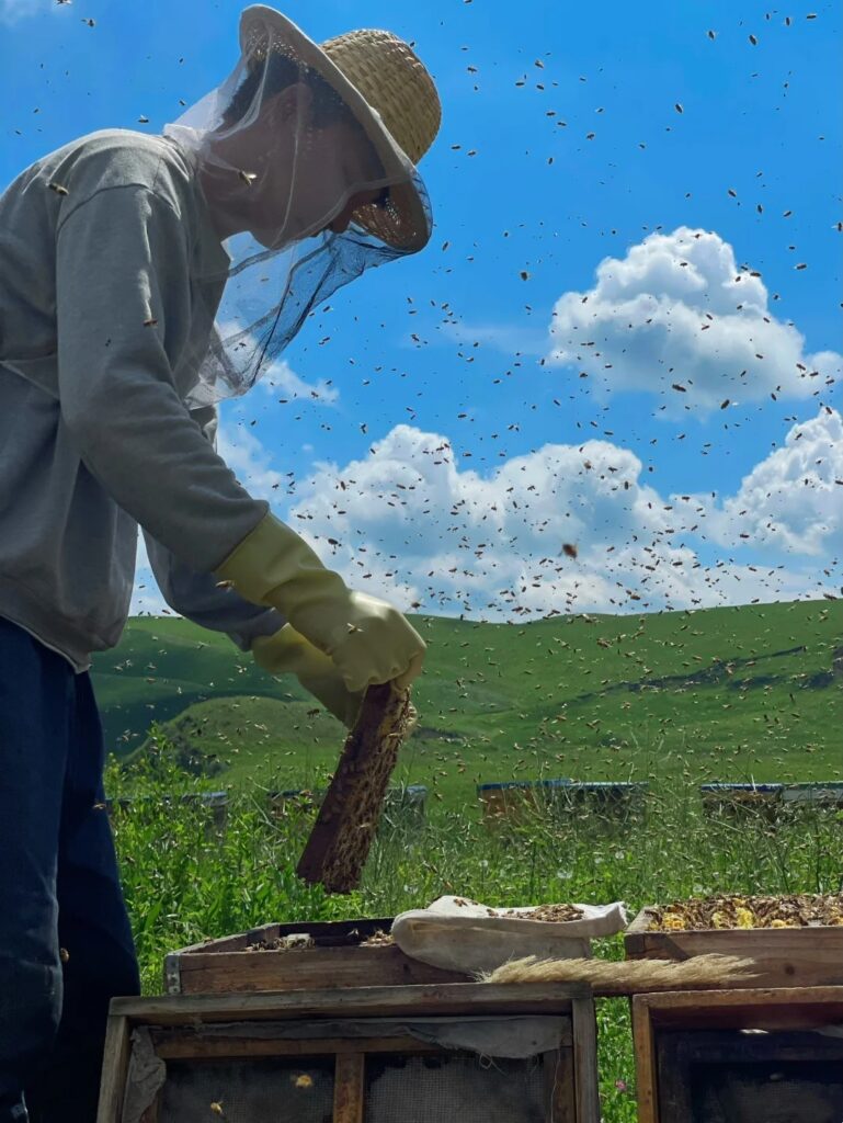 Environmental Benefits of Beekeeping