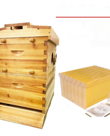 Cedar Automatic Flow Hive Set