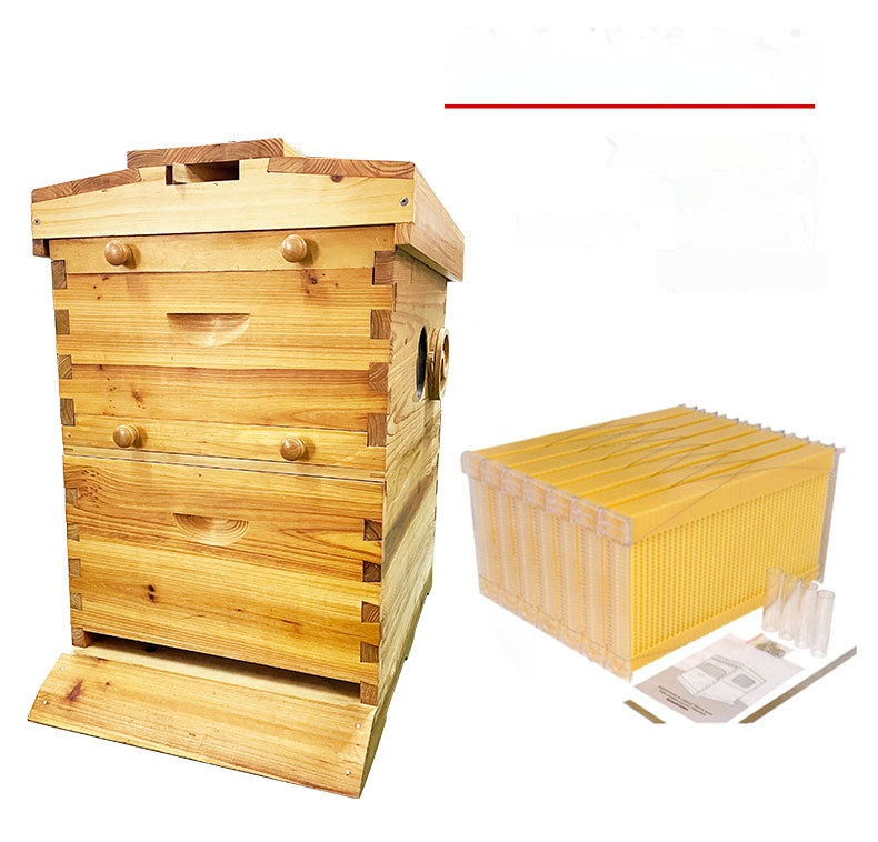 Beekeeping Hives